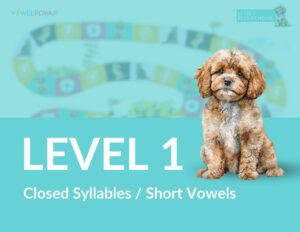 Vowel Powa(r) Level 1 Closed Syllables / Short Vowels