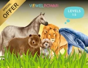 Vowel Powa(r) Game Bundle Levels 1-5 to help dyslexic learners to read